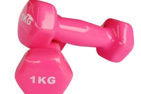 vinyl dumbell 1 kg pair buy online india