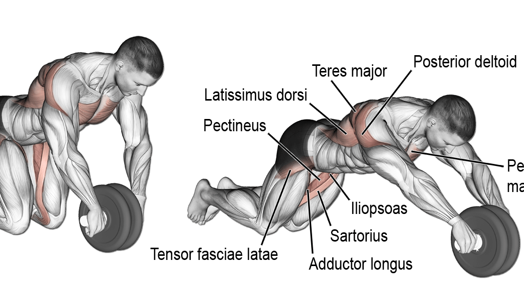 which muscles are worked with an ab rollout