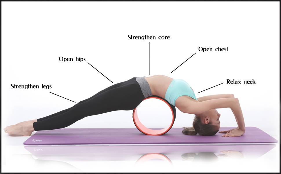 Buy REEHUT Yoga Wheel Relaxing Back and Relieves Pain Multi-Size  Combination for Yoga Advanced Stretching Exercise Back Bending Flexibility  Online at desertcartINDIA